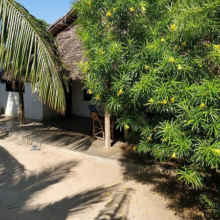 Jambiani Home Stay Экстерьер фото