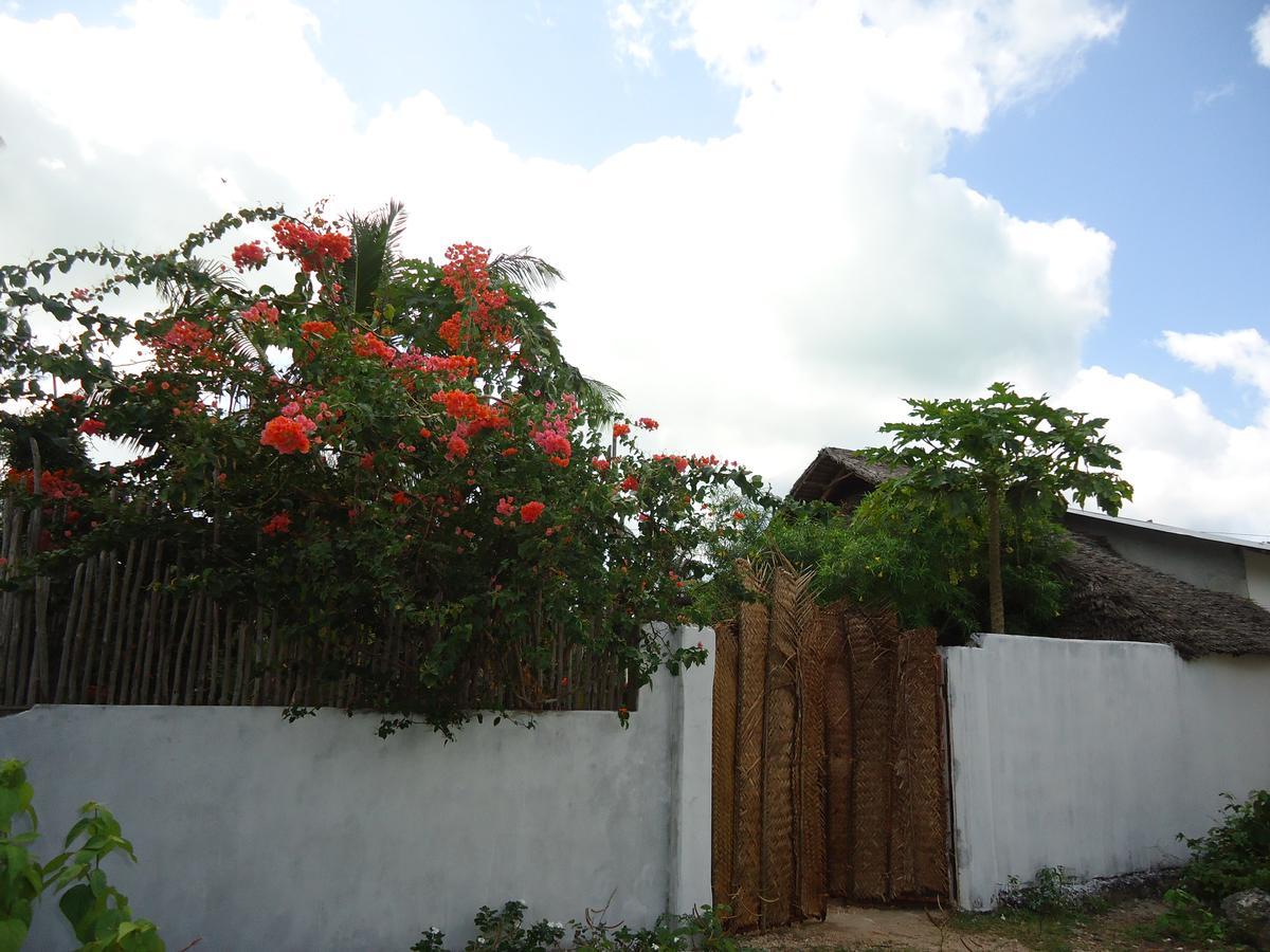 Jambiani Home Stay Экстерьер фото